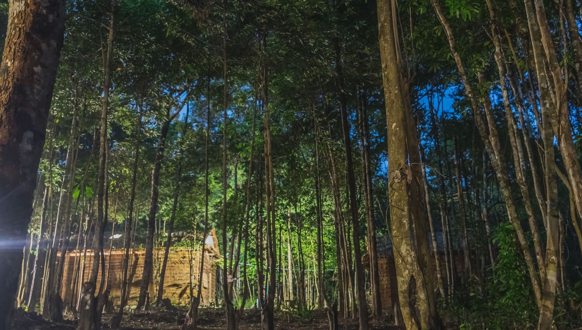 Driftwood Hostel And Bungalows Koh Rong Sanloem Exteriér fotografie